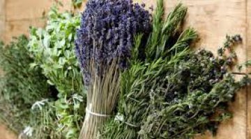 Banhos de ervas para proteo espiritual